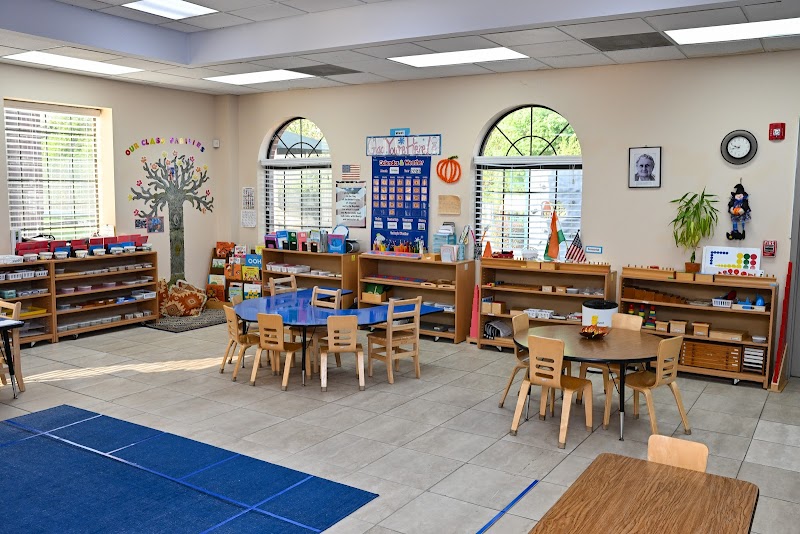 D.A.V. Montessori campus