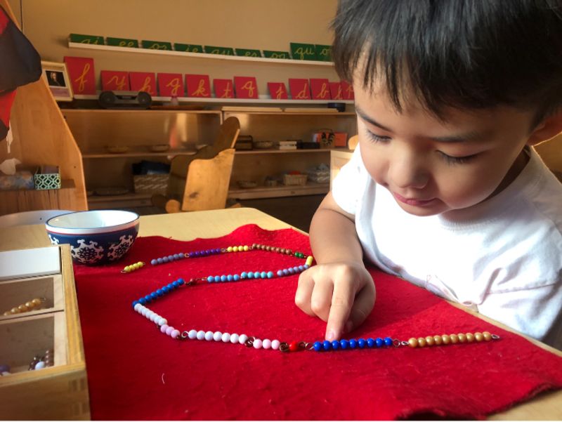 The Montessori Academy of Arlington campus